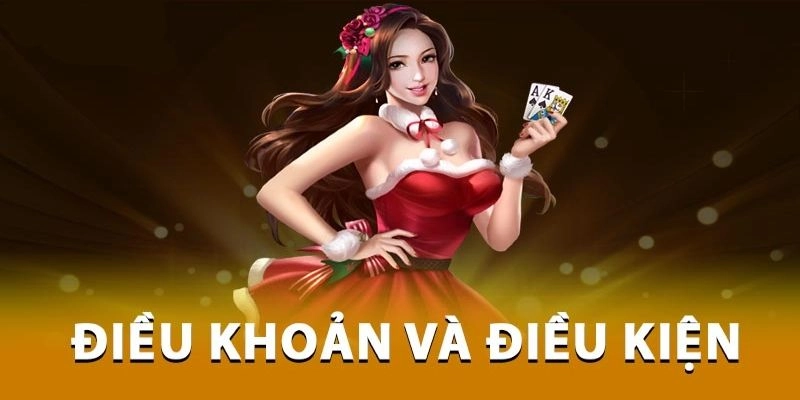 giới thiệu sơ lược về điều khoản và điều kiện