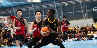 sức hút sảnh im sporst