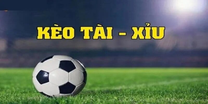 giải thích kèo tài xỉu 1xbet